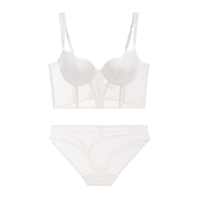 Elegant Intellectual Corset Sexy Lingerie Set