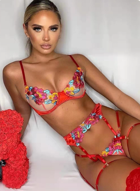 Floral Embroidered Sheer Bikini Set