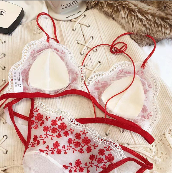 French Sexy Lace Embroidered Flower Lingerie Set