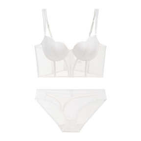 Elegant Intellectual Corset Sexy Lingerie Set