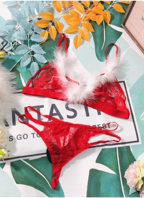 Christmas Red Sheer Lace Deep V Lingerie Set