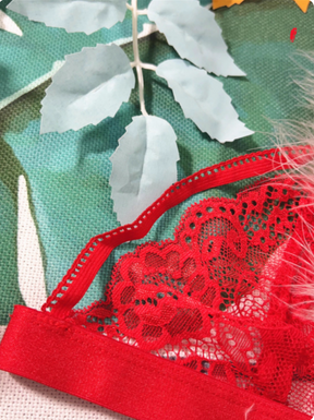 Christmas Red Sheer Lace Deep V Lingerie Set