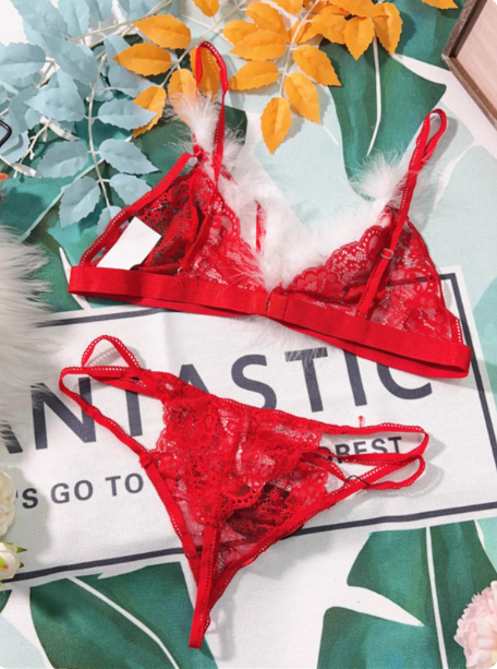 Christmas Red Sheer Lace Deep V Lingerie Set