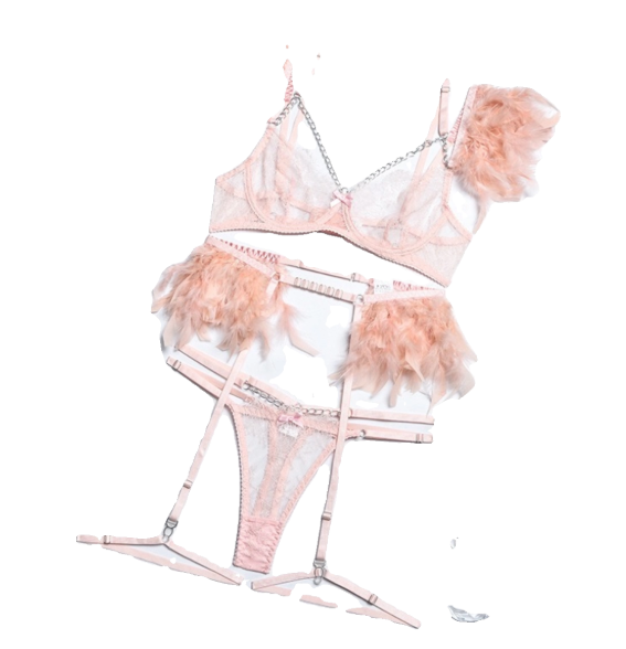 Feather Decor Lingerie Set
