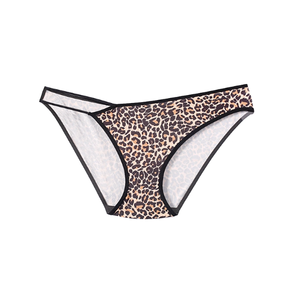 Sheer Leopard Mesh Low-Waist Panties