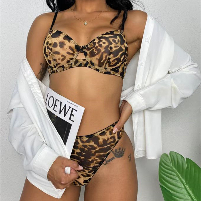 New See-Through Sexy Ultra-Thin Mesh Leopard Lingerie Set