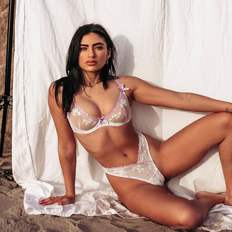 Embroider Perspective  Lace Sexy Lingerie Set