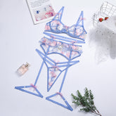 Pink Floral Embroidery Sheer Mesh Sexy Lingerie Set